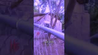 REAL GHOST Caught on camera!? 😱 #scary #shorts #ghost