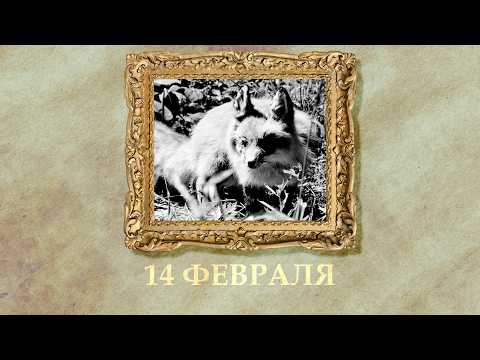 БЫЛО! Историческая рубрика от 14.02.2026