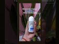 Nivea Natural Glow Sensitive Roll On Deodorant Prevents Underarms Darkening With A Soothing Smell