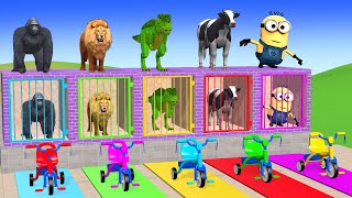Long Slide Game with Cow Elephant Gorilla Hippopotamus Tiger 3d Animal Game Funny 3d Animals
