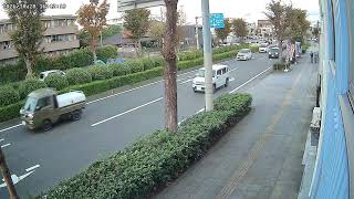 平塚市平塚東海道ライブカメラ live webcam