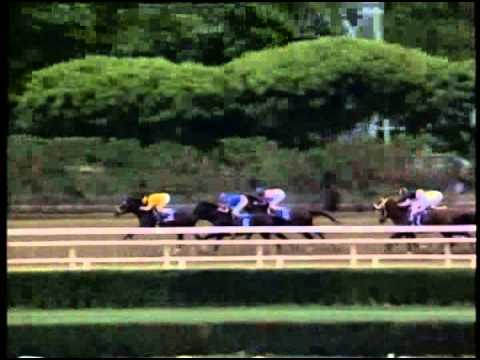 Cigar - 1995 Woodward (G1)