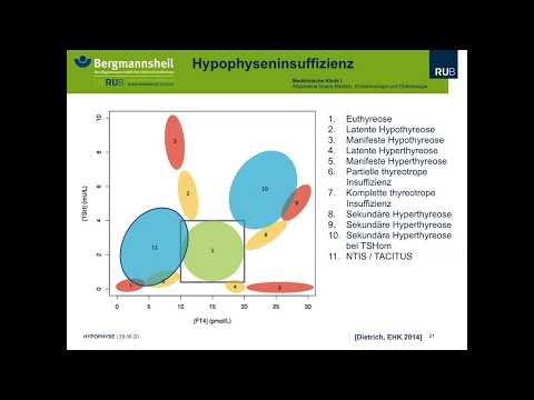 Ruhr-Universität Bochum: Erkrankungen der Hypophyse 2020