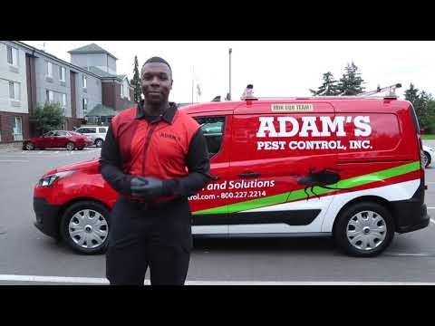 A Day in the Life of a Pest Control Technician