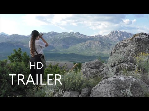 WOHIN DES WEGES   Trailer