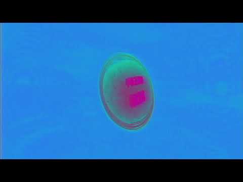 Video thumbnail for SICKO (SHEE Dub)