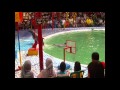 Nonton Ikan Lumba Lumba