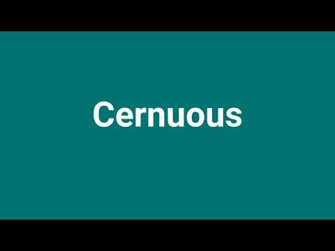 'Cernuous' Meaning and Pronunciation