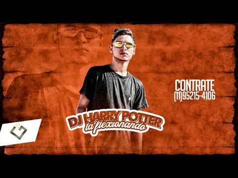 DJ Harry Potter - TA FLEXIONANDO - Os Cretinos e Mc Luan(Granfino Music)