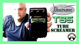 Ibanez Soundtank TS5 Tube Screamer - What To Know & Where To Buy