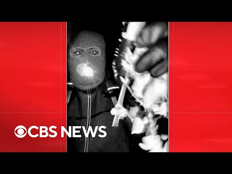 Experts, reporting breaks down surveillance video in Nancy Guthrie’s disappearance