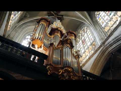 Jean-Louis Florentz (1947-2004): Le Chant des Fleurs