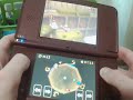 SM64DS IL Stop Time For Red Coins In 14s Wario