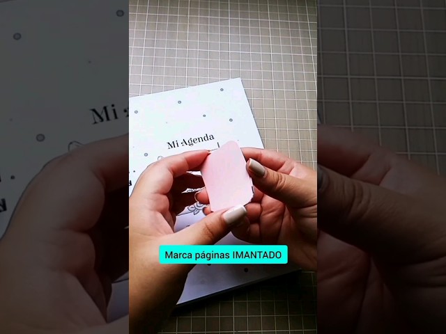 Vídeo relacionado con Leyrens 12 Piezas Marcapaginas Magnetico, Adorables marcapáginas con diseño de animales, para amantes de los libros, profesores, imanes fuertes con clip para sujetar páginas de forma
