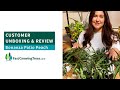 Bonanza Patio PEACH TREE Review from FastGrowingTrees.com