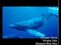 Cocteau Twins - Whales Tails (Deepest Blue Mix)