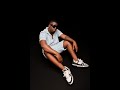 Moet Murumba Pitch Mas Musiq Daliwonga Official Audio