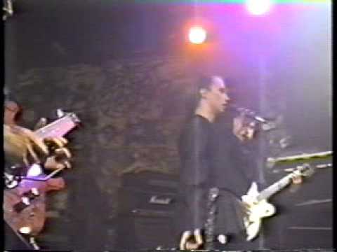 Shamefaces - Shadowboy