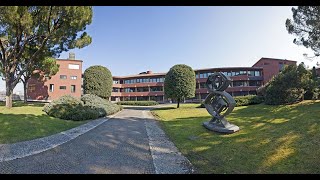 Risultati al 30 giugno 2019
