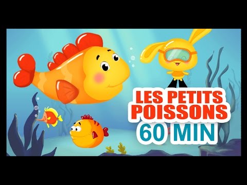 Les petits poissons dans l'eau - 1H DE COMPTINES POUR LES PETITS - Titounis