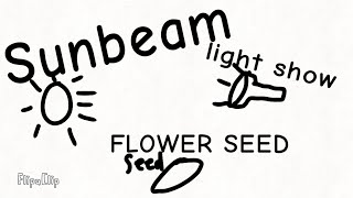Sunbeam Light Show Flower Seed.