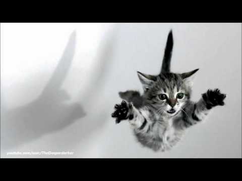 Lanvary - Flying Dutchman (Ri9or Remix)