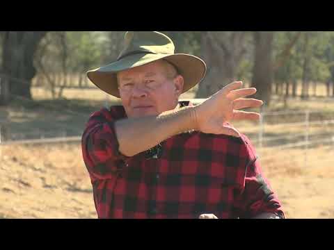 Improving farm water management: A practical case study with West Hume Landcare