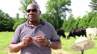 Forest, Mississippi Farmer Trades Glass Industry for Cattle Farming