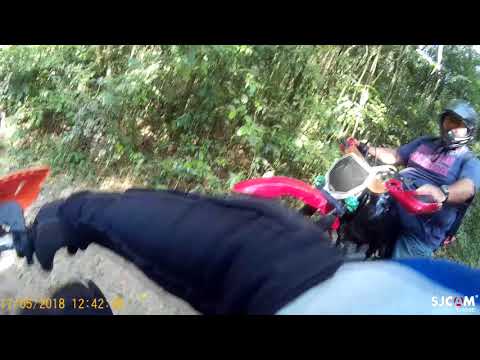 Trilha do verde em Cotia