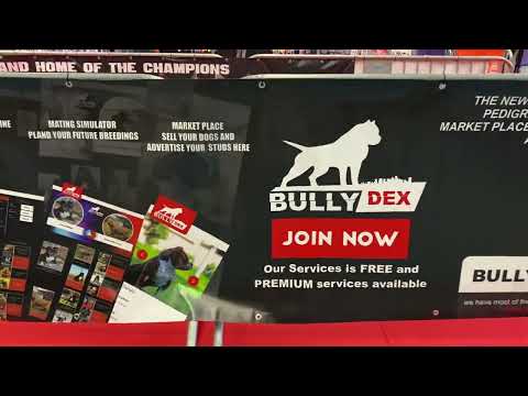 Bullydex