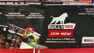 BULLYDEX.COM  THE NEWEST PEDIGREE DATA BASE AND MARKET PLACE FOR AMERICAN BULLIES