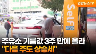 주유소 기름값 3주 만에 올라…"다음 주도 상승세" / 연합뉴스TV (YonhapnewsTV)