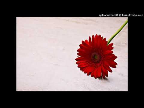 No copyright music  Falling in Slow Motion  YouTube Audio library, YouTube videos background music