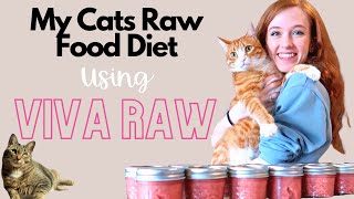 My Cats Raw Food Diet | Viva Raw, Raw Food Pre Mixed and how I feed my cats!