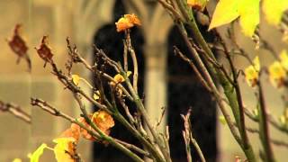 Benedktinerabtei in Tholey