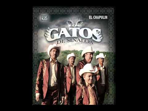 Los Gatos de Sinaloa - Vete Al Diablo (Que Te Vas