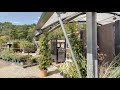 Cedar Nursery - A Plant Nursery Vew