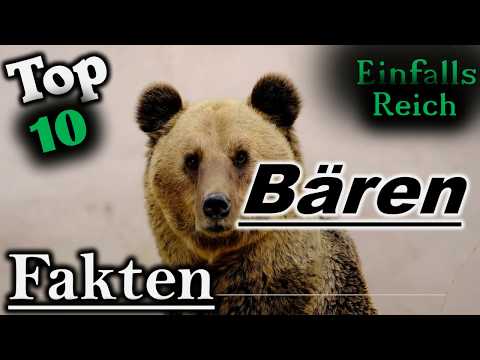 10 Fakten über Braunbären