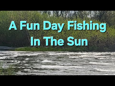A Fun Day Fishing In The Sun.