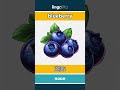 blueberry - 蓝莓 video thumbnail