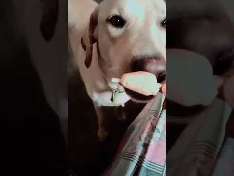 very tasty kulfi 😘😇🤠.