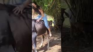 Download lagu Video lucu gokil kocak #funny #comedy #ngakak #hilariousfails #lucu #memengakakkocak #memes #fun mp3