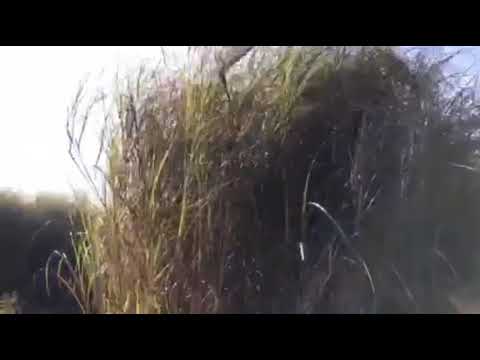 SUNDAY MORNING SUNLIGHT