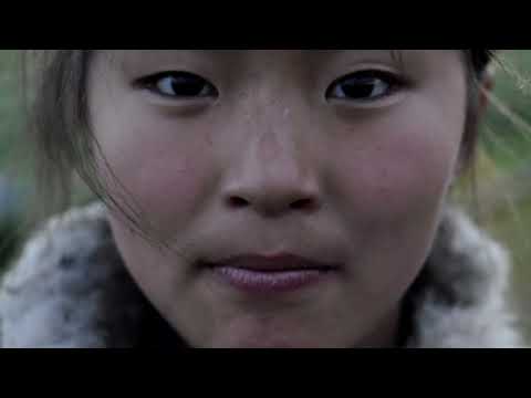 Back to the Roots teaser