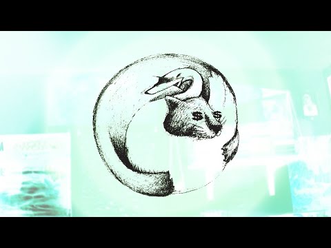 Boxguts and Will Taubin - Count Cash (OFFICIAL VIDEO)