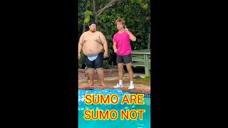 Sumo sinks his balls