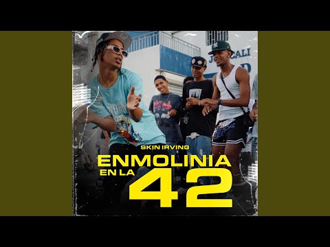 Enmolinia En La 42 (feat. SkinirvinG)
