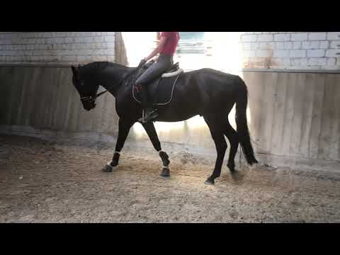 Faunus 07.2020 vor Abholung bei Nicole Hofmann Video 13 -  IMG 1318