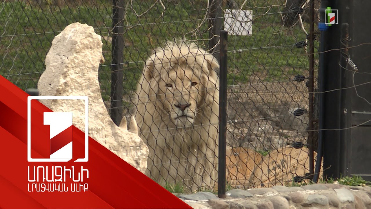 2023-ին կենդանաբանական այգու բարեկարգման համար ծախսվել է մոտ 108 մլն դրամ