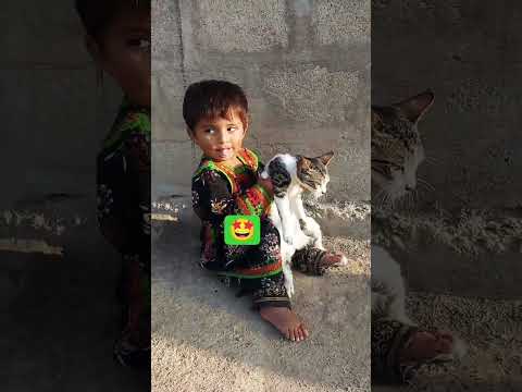 jaweria 🥰 #duet #love #cat #cats #catvideos #catshorts #animals #viralreels #viral #viralvideos #fy